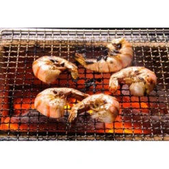 Barbecue Japonais Konro Stove 54 X 23 X 20 Cm BQ8WF 11 Barbecue Japonais Konro Stove 54 X 23 X 20 Cm BQ8WF -Le Coin du Grill barbecue japonais konro stove 54 x 23 x 20 cm bq8wf 4